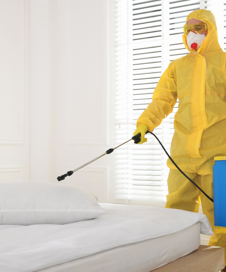 Professional Pest Control Team in Hampstead Gardens
